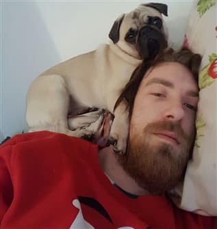 pug-on-owners-head